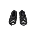 ARB OME Front Coil Spring Set