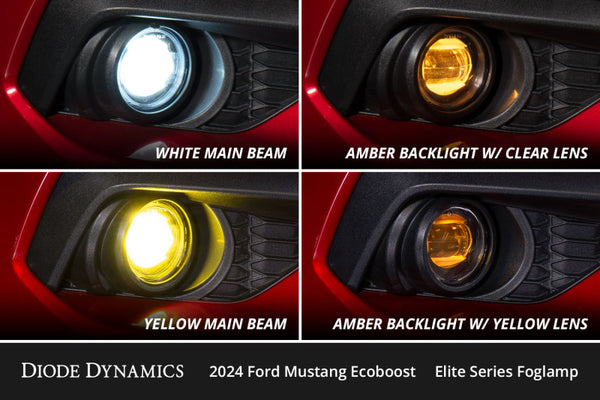 Diode Dynamics 2024 Ford Mustang GT Elite Series Add-On Fog Lamp Kit White