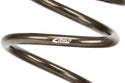 ERS Motorsport Spring