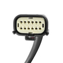 AlphaRex 19-21 Dodge Ram 1500 Luxx-Series LED Tail Lights Alpha-Black w/Activ Light/Seq Signal
