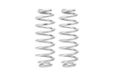 Pro-Lift Springs