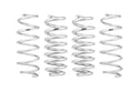 Pro-Lift Springs