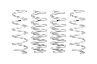 Pro-Lift Springs