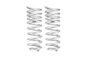Pro-Lift Springs