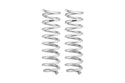 Pro-Lift Springs
