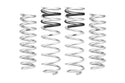 Pro-Lift Springs