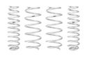 Pro-Lift Springs