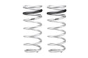 Pro-Lift Springs