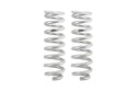 Pro-Lift Springs