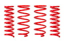 Pro-Lift Springs