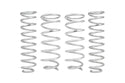 Pro-Lift Springs