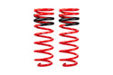 Pro-Lift Springs