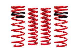 Pro-Lift Springs