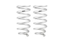 Pro-Lift Springs
