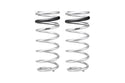 Pro-Lift Springs