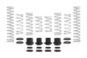 Pro-UTV Spring Kit