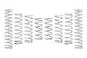 Pro-UTV Spring Kit