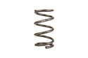ERS Motorsport Spring