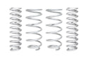 Pro-Lift Springs