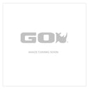 Go Rhino751803113CDS - Bright Series Lights - 31.5